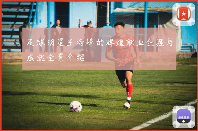 足球明星王海峰的辉煌职业生涯与成就全景介绍