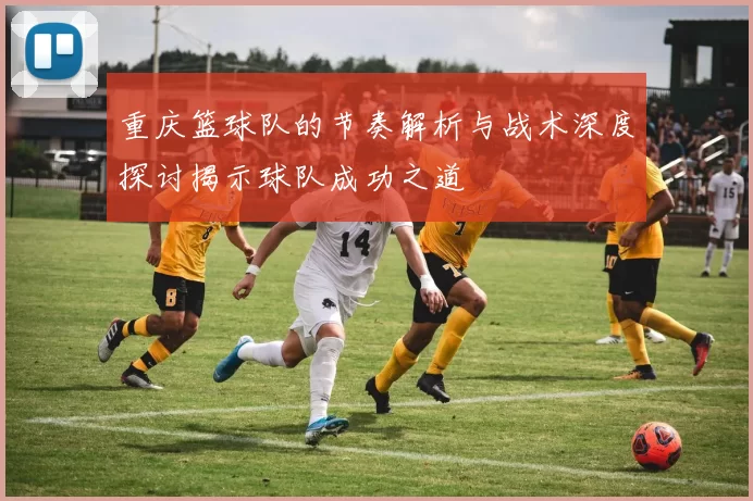 重庆篮球队的节奏解析与战术深度探讨揭示球队成功之道