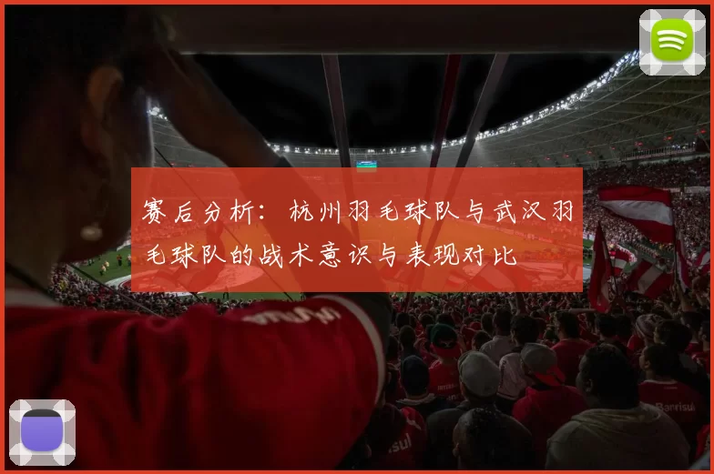 赛后分析：杭州羽毛球队与武汉羽毛球队的战术意识与表现对比