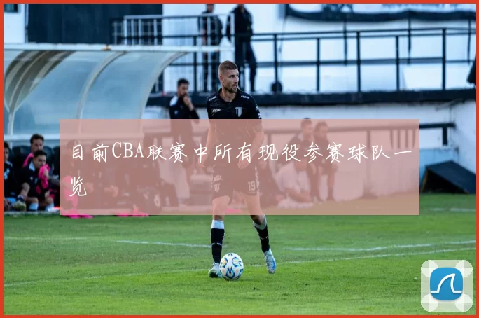 目前CBA联赛中所有现役参赛球队一览
