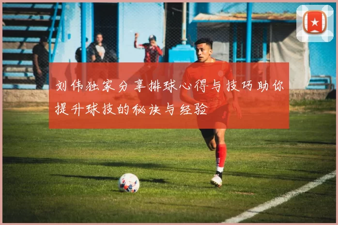 刘伟独家分享排球心得与技巧助你提升球技的秘诀与经验