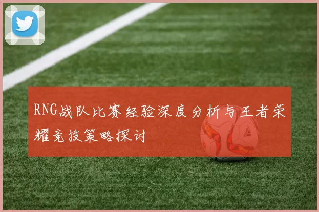 RNG战队比赛经验深度分析与王者荣耀竞技策略探讨