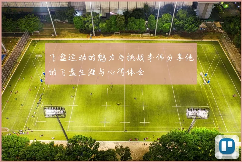 飞盘运动的魅力与挑战李伟分享他的飞盘生涯与心得体会