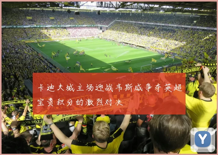 卡迪夫城主场迎战韦斯咸争夺英超宝贵积分的激烈对决