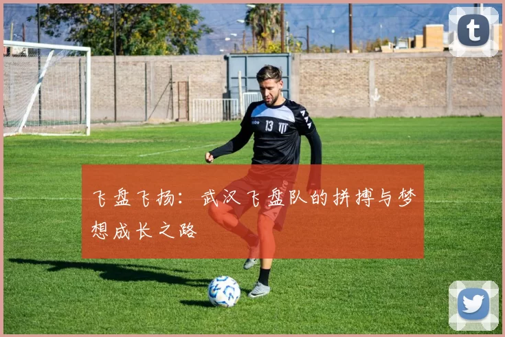 飞盘飞扬：武汉飞盘队的拼搏与梦想成长之路