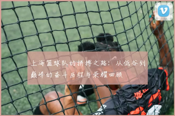 上海篮球队的拼搏之路：从低谷到巅峰的奋斗历程与荣耀回顾