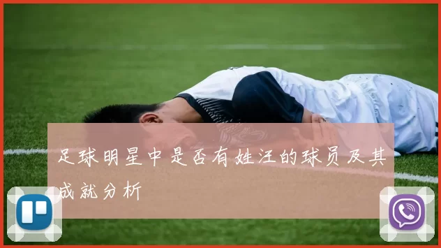 足球明星中是否有姓汪的球员及其成就分析