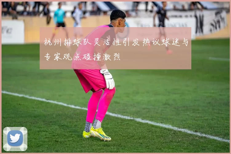 杭州排球队灵活性引发热议球迷与专家观点碰撞激烈