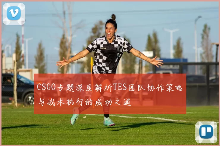 CSGO专题深度解析TES团队协作策略与战术执行的成功之道