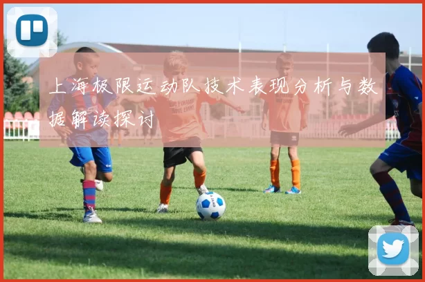 上海极限运动队技术表现分析与数据解读探讨