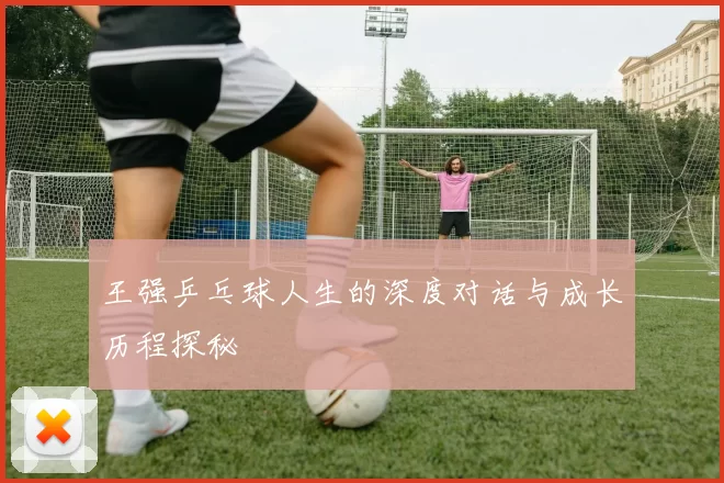 王强乒乓球人生的深度对话与成长历程探秘