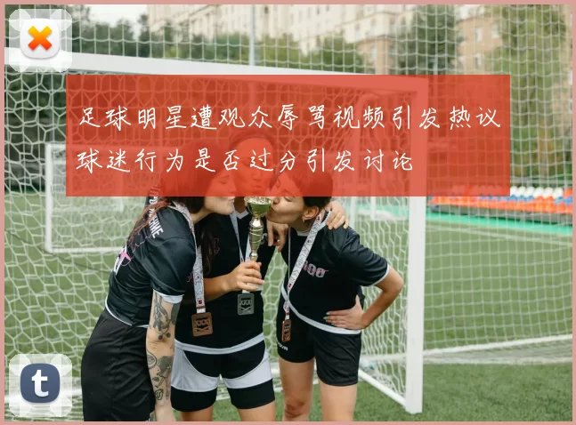 足球明星遭观众辱骂视频引发热议球迷行为是否过分引发讨论