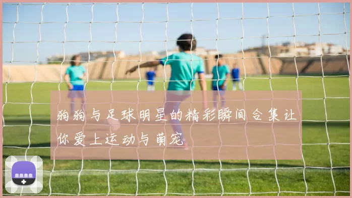 狗狗与足球明星的精彩瞬间合集让你爱上运动与萌宠