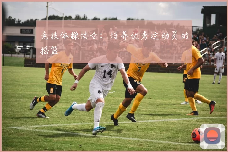 竞技体操协会：培养优秀运动员的摇篮