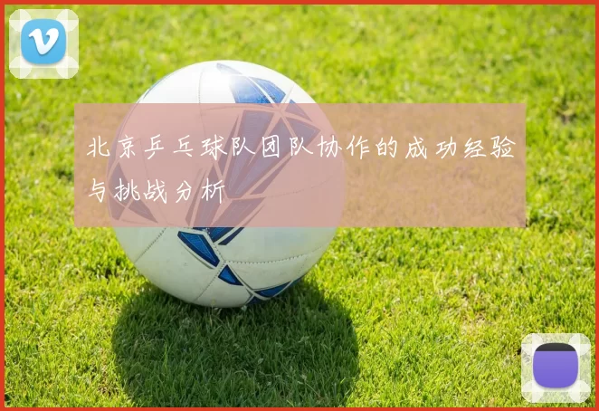 北京乒乓球队团队协作的成功经验与挑战分析