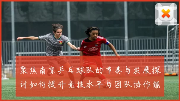 聚焦南京乒乓球队的节奏与发展探讨如何提升竞技水平与团队协作能力