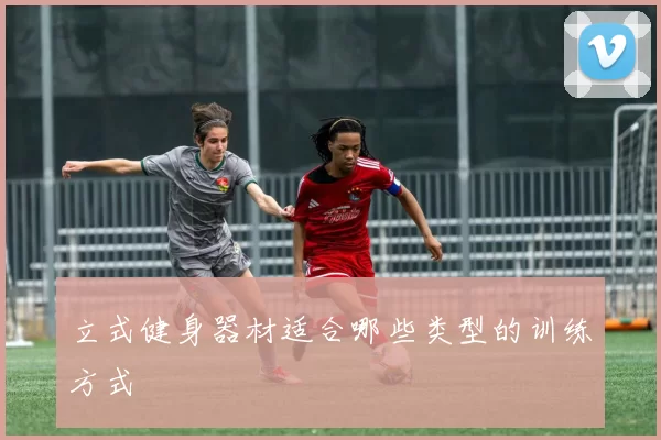 立式健身器材适合哪些类型的训练方式